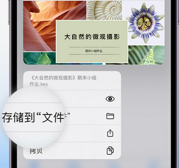 清镇apple维修中心分享iPhone文件应用中存储和找到下载文件