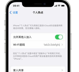 清镇apple服务站点分享iPhone上个人热点丢失了怎么办 