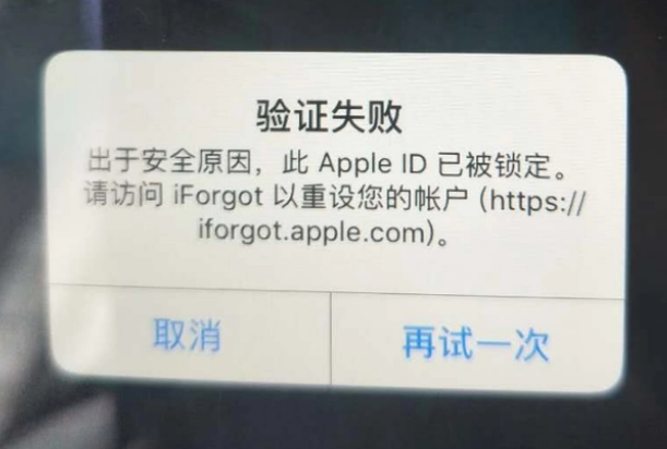 清镇iPhone维修分享iPhone上正常登录或使用AppleID怎么办 