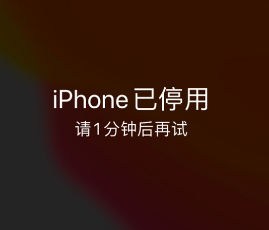 清镇苹果手机维修分享:iPhone 显示“不可用”或“已停用”怎么办？还能保留数据吗？ 