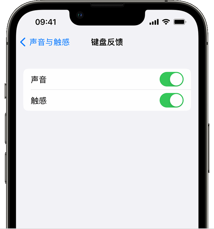 清镇苹果14维修店分享如何在 iPhone 14 机型中使用触感键盘 