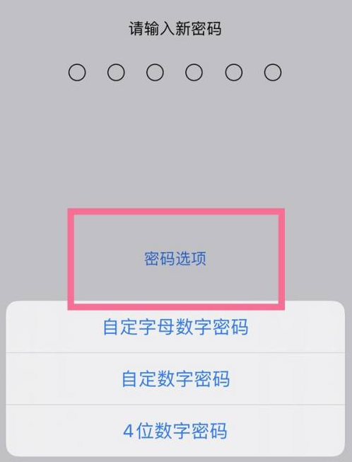 清镇苹果14维修分享iPhone 14plus设置密码的方法 