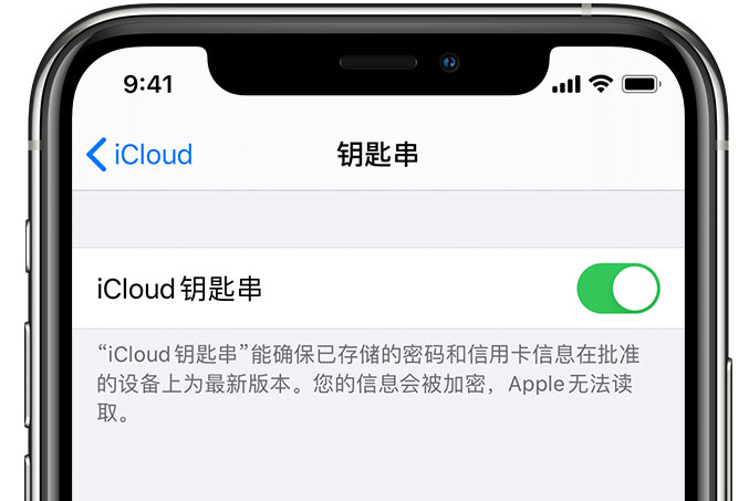 清镇苹果手机维修分享在 iPhone 上开启 iCloud 钥匙串之后会储存哪些信息 