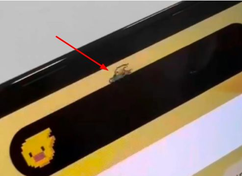 清镇苹果14维修分享iPhone 14 Pro Max灵动岛怎么养宠物 
