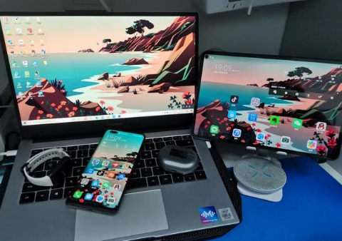 清镇苹果手机维修分享为什么iPad屏幕更大价格却比iPhone低 