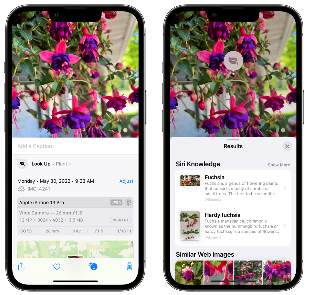 清镇苹果手机维修分享小技巧：使用 iPhone 相机识别花卉植物 