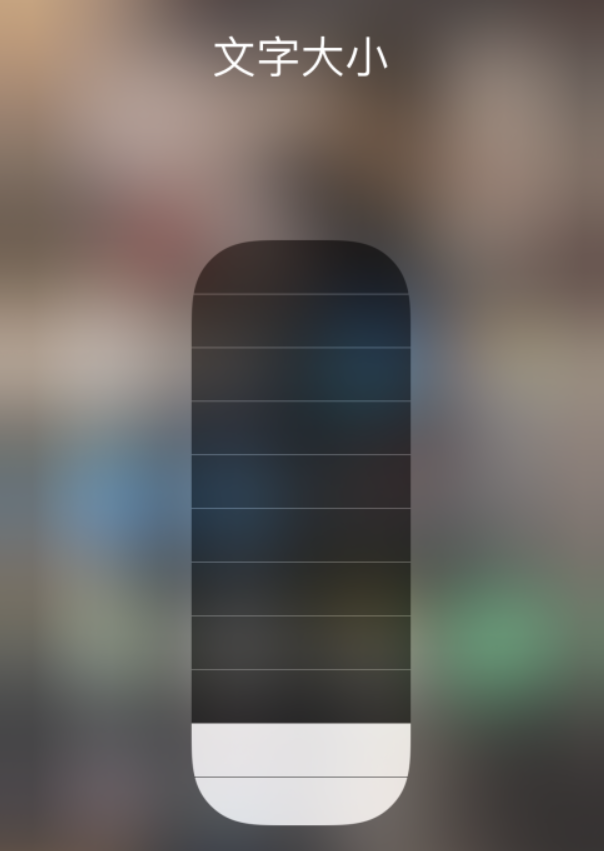 清镇苹果手机维修分享小技巧：在 iPhone 控制中心快速调节字体大小 