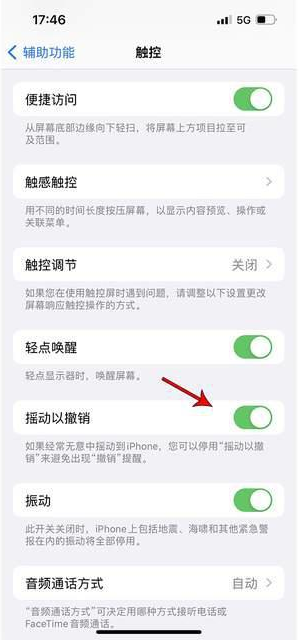 清镇苹果手机维修分享iPhone手机如何设置摇一摇删除文字 