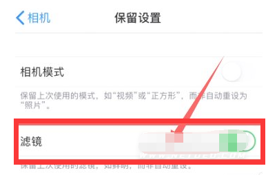清镇苹果13维修分享iPhone13拍照有绿点是怎么回事 