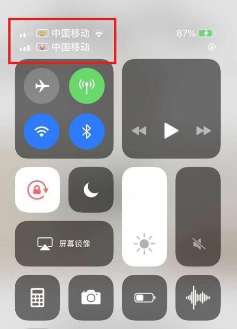 清镇苹果手机维修分享为 iPhone 12 双卡设置标签 